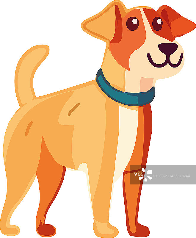 可爱的小狗微笑站立图片素材