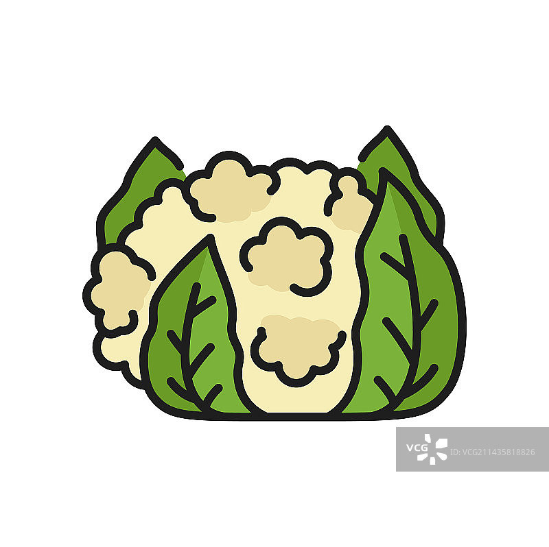 扁平风格花椰菜图标图片素材