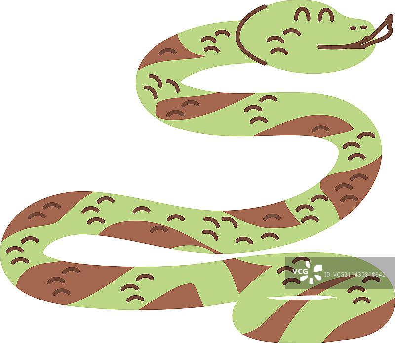 动物爬行动物蝰蛇图片素材