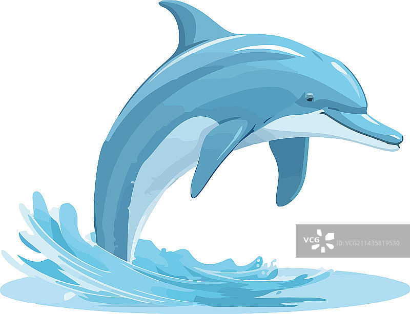 顽皮的海豚在蓝色海水中跳跃图片素材