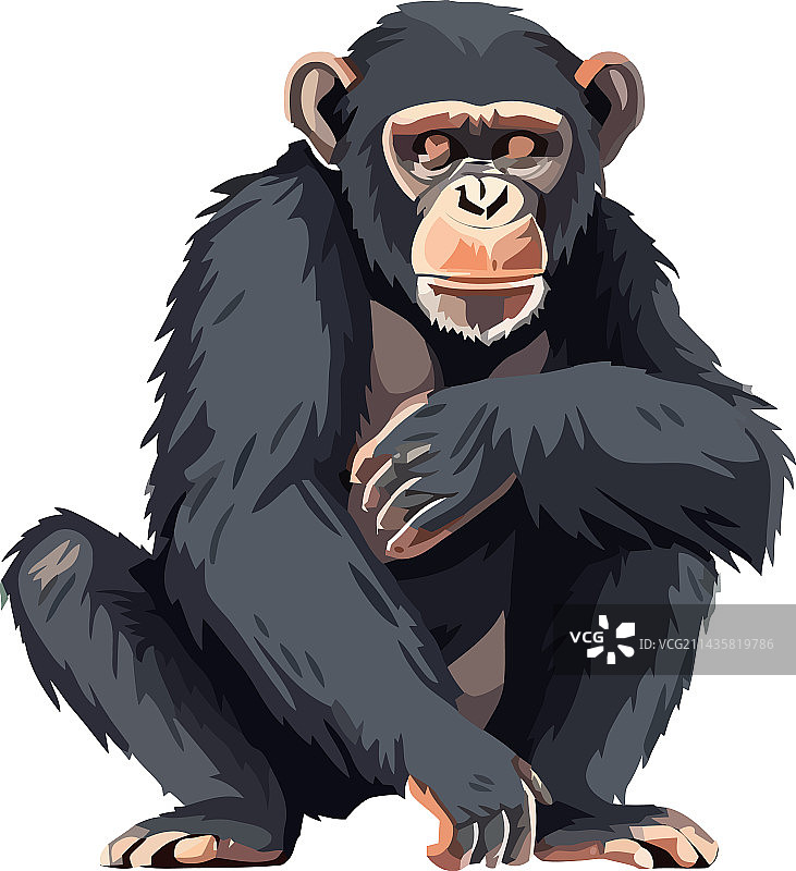 猩猩丛林动物图片素材