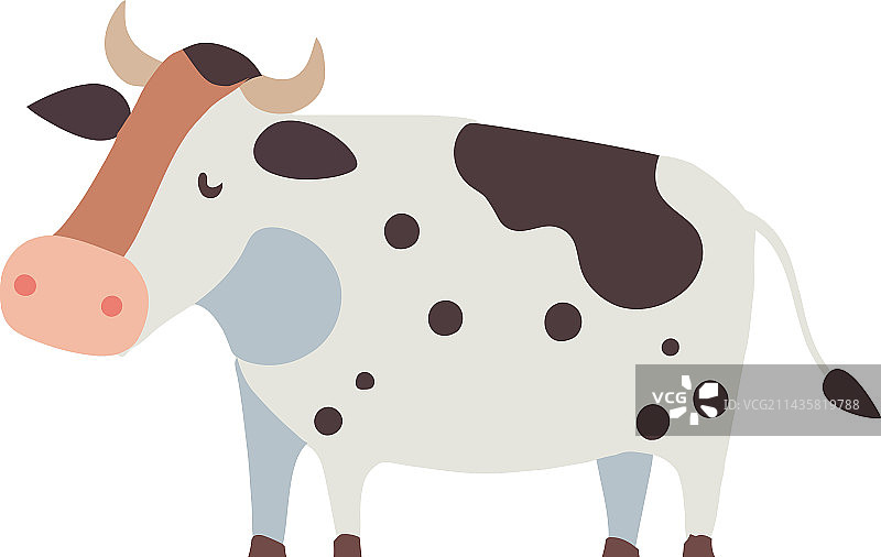 阿根廷火地省翡翠湖中的黑色拉布拉多犬特写镜头图片素材