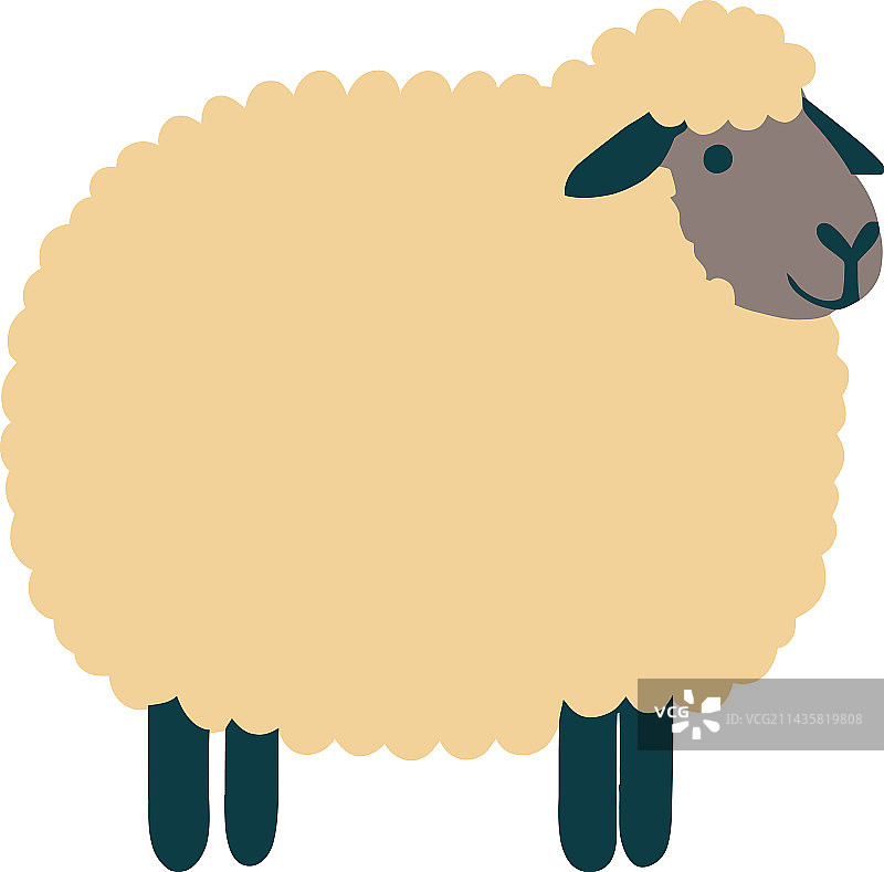 扁平绵羊图片素材