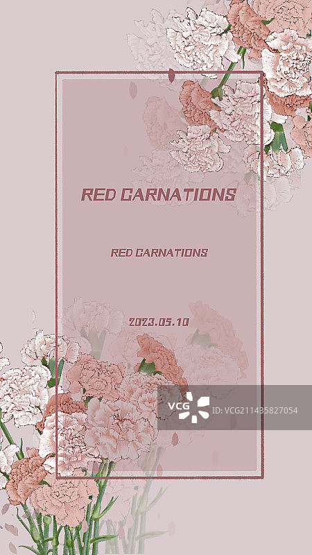 康乃馨邀请函图片素材