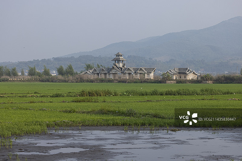 西双版纳勐海县乡村田园风光图片素材