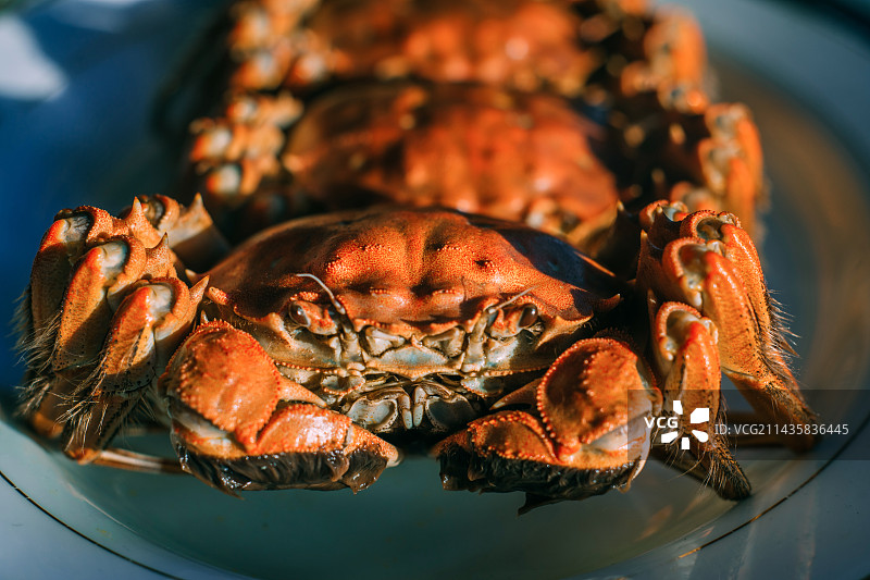 肥美的阳澄湖大闸蟹中国风摆盘图片素材