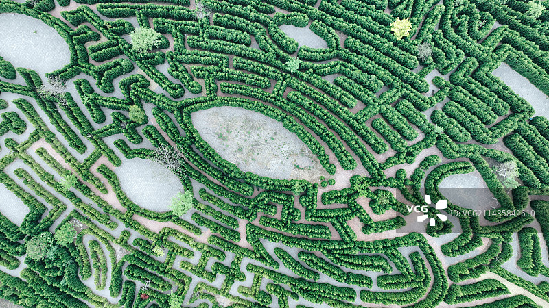 植物迷宫图片素材