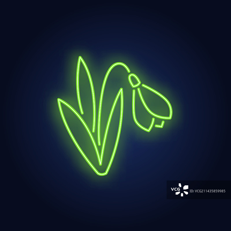 雪花莲霓虹灯单朵花图片素材