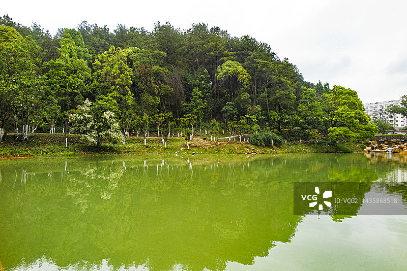 中国贵州贵阳市花溪桐木岭贵州省委党校三思湖风光图片素材