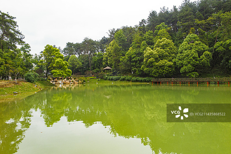 中国贵州贵阳市花溪桐木岭贵州省委党校三思湖风光图片素材