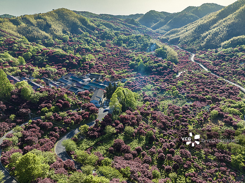 余姚四明山图片素材