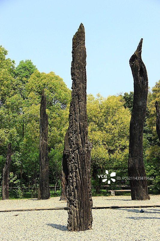中国四川成都金沙遗址祭祀区出土的乌木图片素材