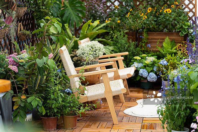 精美的庭院和园艺图片素材