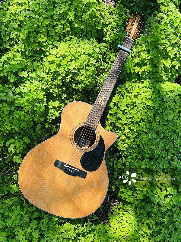 我和我的琴图片素材