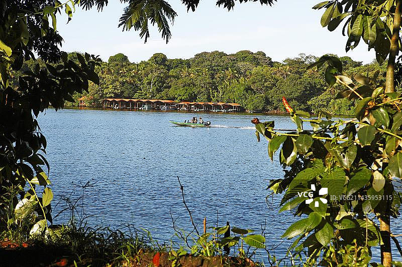 哥斯达黎加利蒙省托尔图格罗国家公园雨林运河图片素材