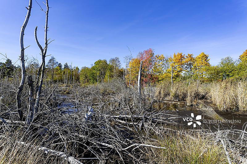 德国巴登-符腾堡州菲林根-施文宁根内卡河源头图片素材