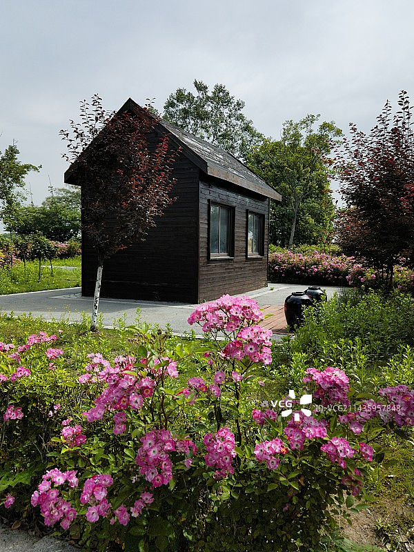 花丛中的小木屋花丛中的小木屋图片素材