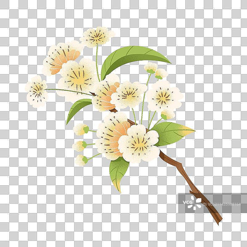 手绘古风花卉素材图片素材