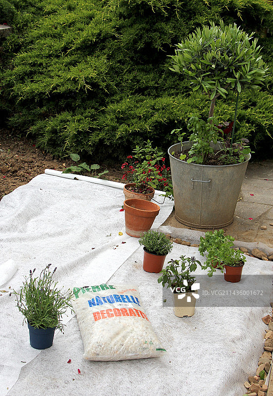 使用保护膜制作小型花园，实现免维护种植图片素材