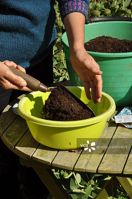 在托盘中播种，准备托盘（盆）图片素材