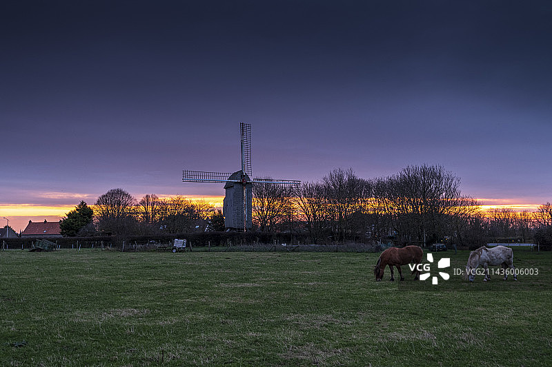 法国加来海峡科凯勒磨坊日出图片素材