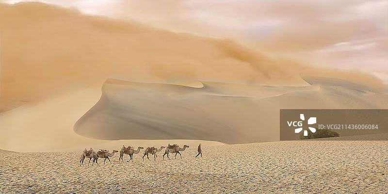 大漠驼铃图片素材