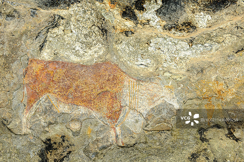 南非自由邦克拉伦斯：砂岩洞穴墙壁上的桑人或布须曼人岩画图片素材