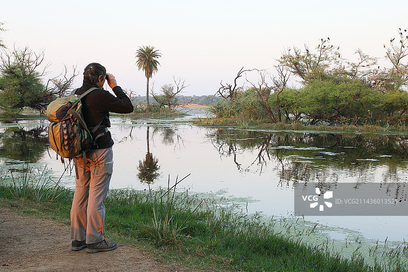 印度凯奥拉德奥国家公园沼泽观鸟图片素材