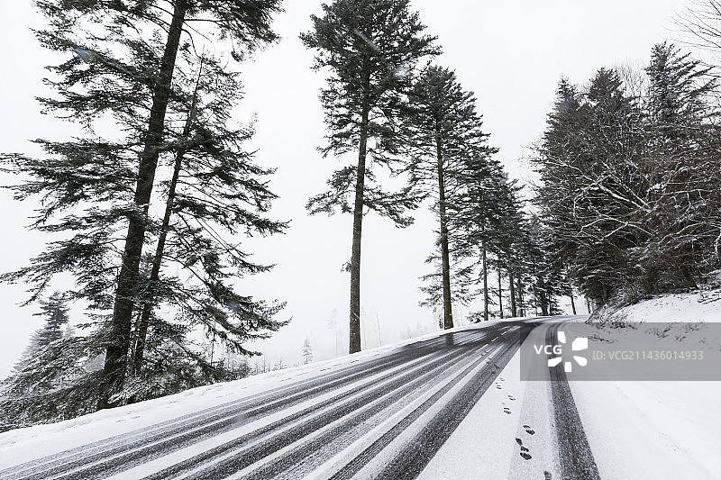 雪覆盖的道路，山脊之路，拉施卢克特，孚日，法国图片素材