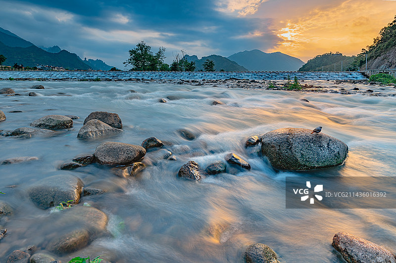 浙江雁荡山仙溪龙眼乌珠的晚风图片素材