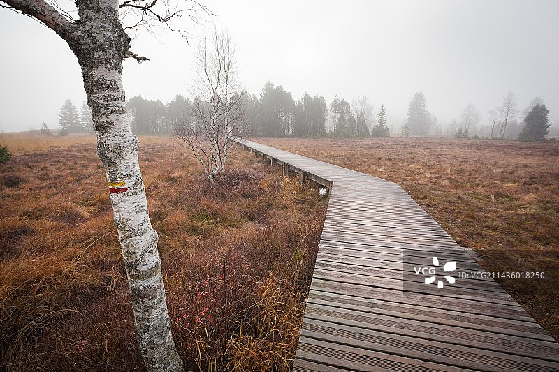 法国西南部莱鲁斯湖的泥炭沼泽和木板路图片素材