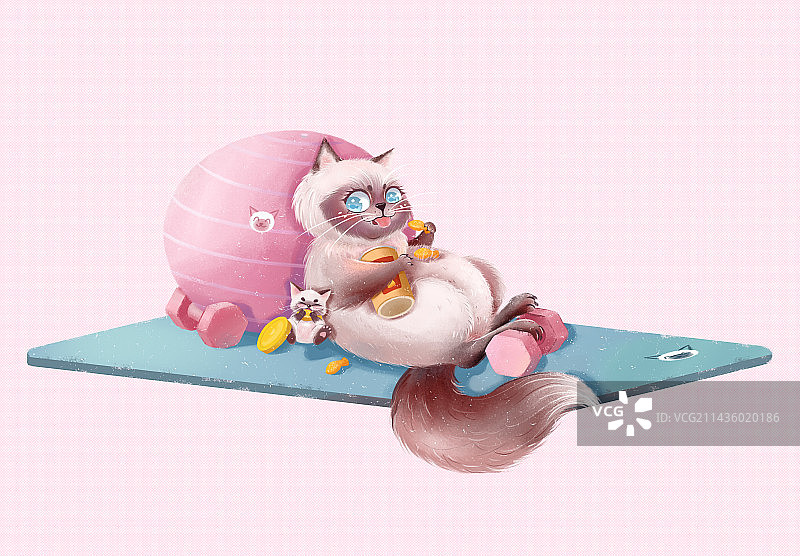 减肥猫图片素材