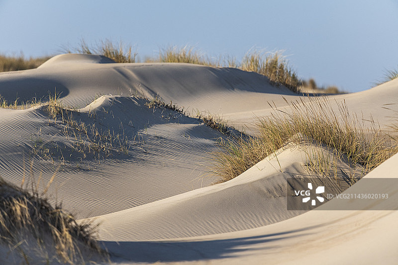 法国加来海峡奥帕尔海岸的沙丘景观图片素材