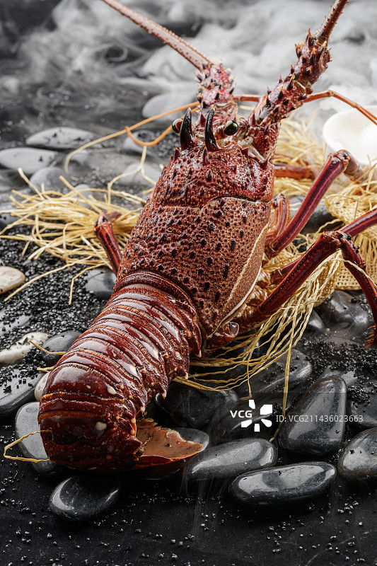 黑色鹅卵石上的活龙虾图片素材