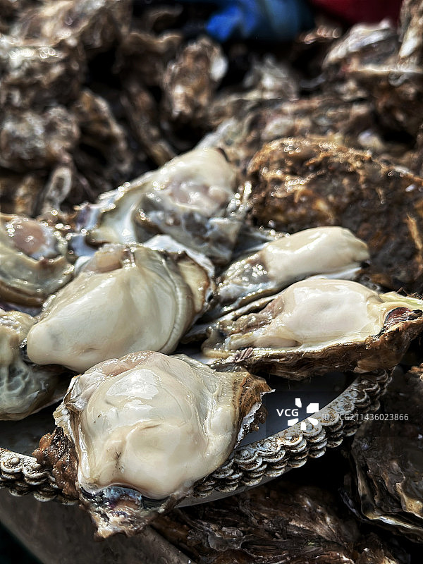 新鲜牡蛎图片素材