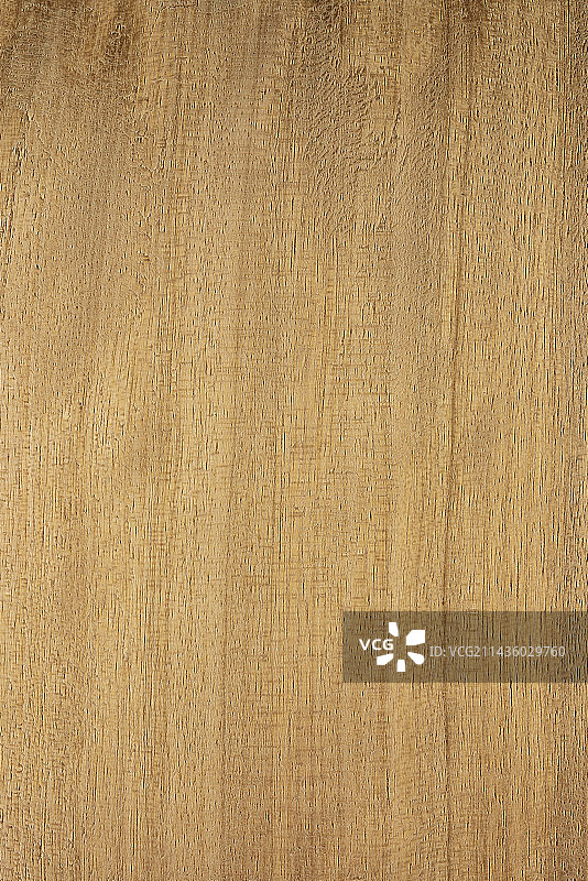 非洲缎木（异名：黄缎木，阿扬，加蓬）纵切面图片素材