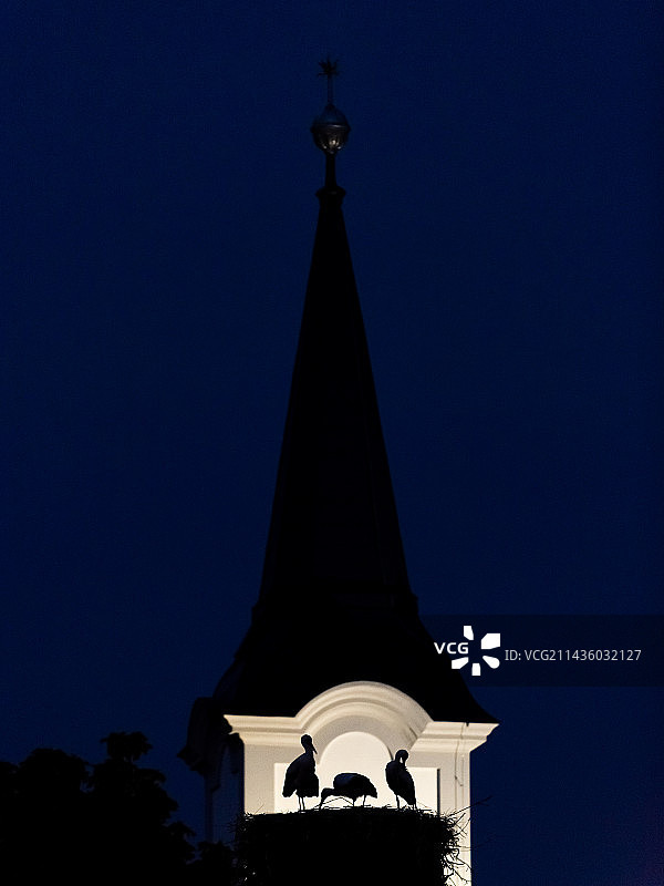日落后蓝色时刻，鹳鸟在斯洛伐克钟楼筑巢的轮廓图片素材