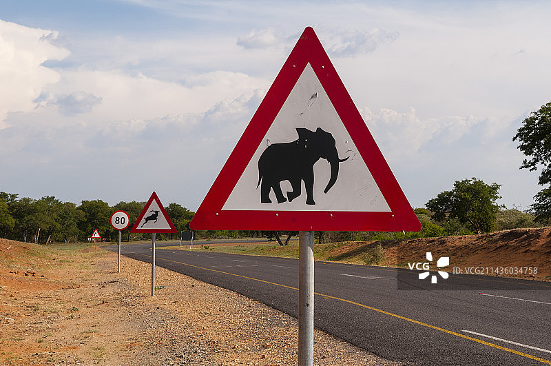前往乔贝国家公园道路上的非洲象交通警告标志，博茨瓦纳图片素材