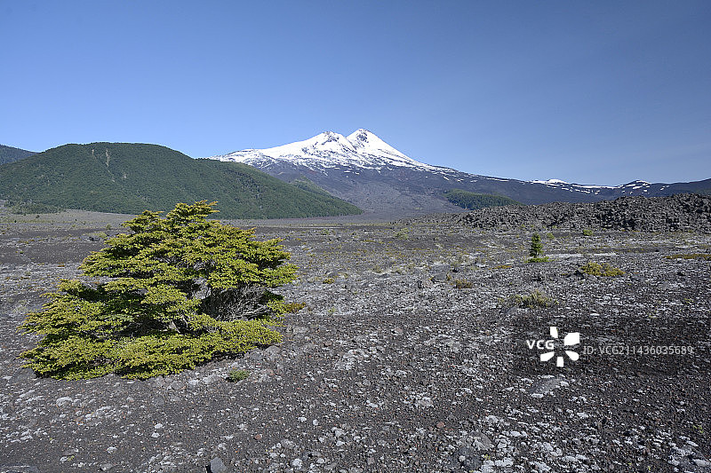 孔吉利奥国家公园的亚伊马火山景观，智利阿劳卡尼亚第九区图片素材