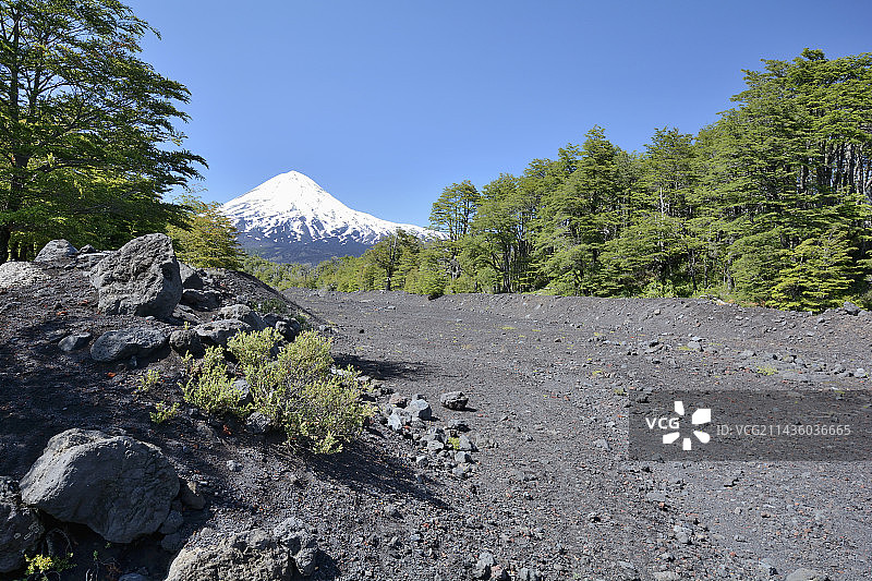 智利阿劳卡尼亚大区Conguillio国家公园的亚伊马火山和熔岩沟图片素材