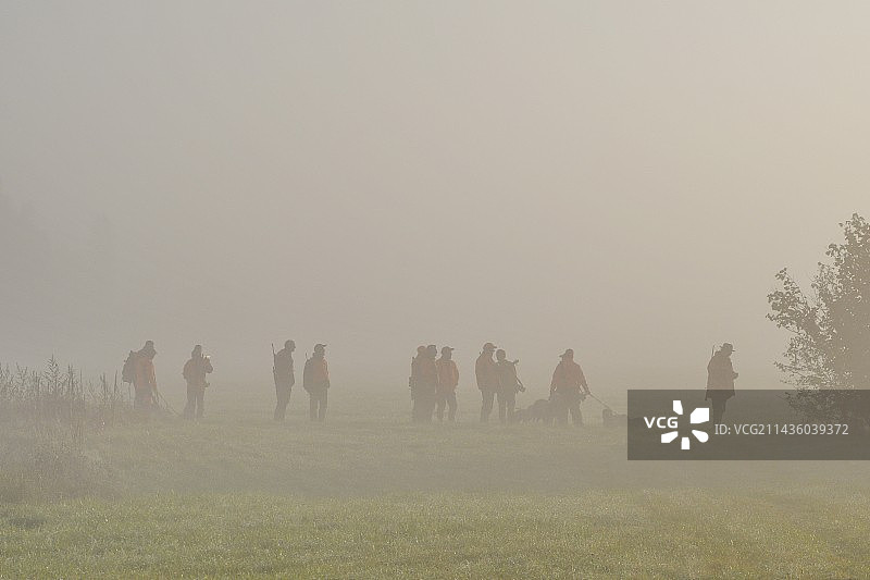 法国杜省布罗尼亚尔的野猪狩猎活动图片素材