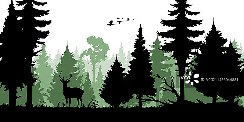 森林树木剪影：鹿和鸭狩猎图片素材