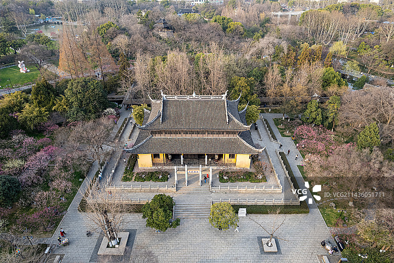 天宁寺红梅阁图片素材