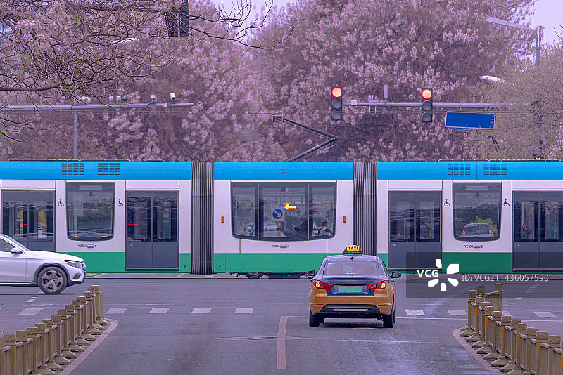 北京亦庄宏达南路 泡桐树下的有轨电车图片素材