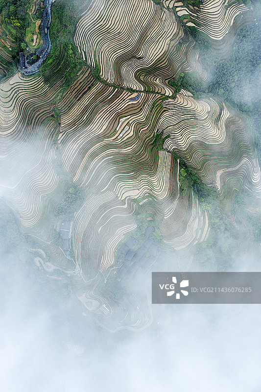 龙脊梯田图片素材