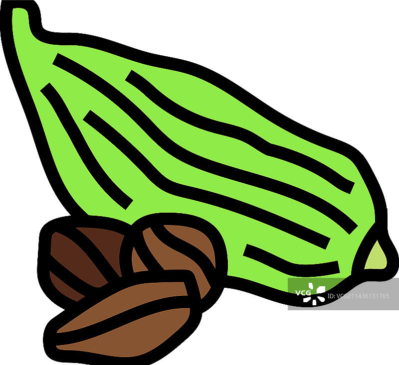 小豆蔻食物香草彩色图标图片素材