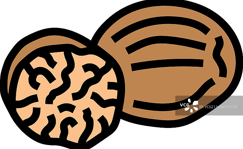 肉豆蔻食用香草彩色图标图片素材