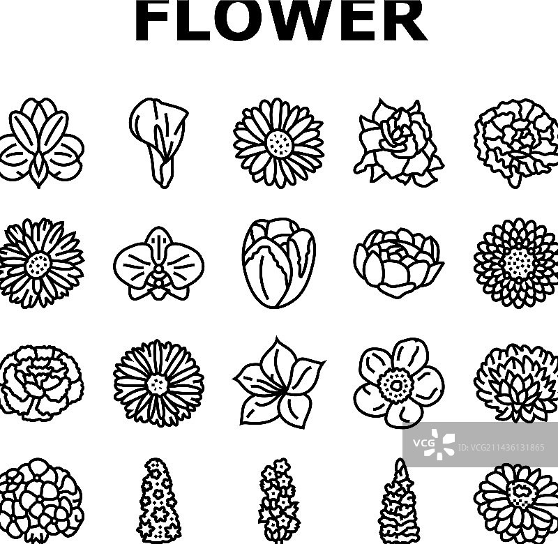 春季花卉图标合集图片素材