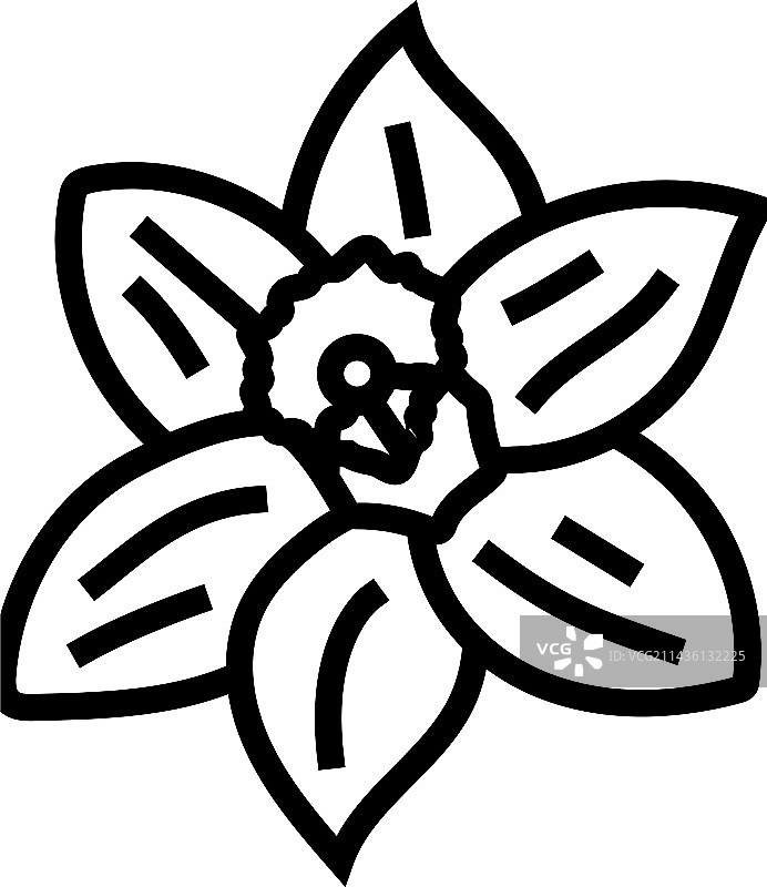春天水仙花线性图标图片素材