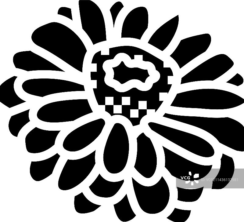 百日草盛开的春天标志图标图片素材